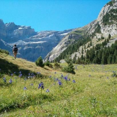 plateau de bellevue pyrenees national park / participatory campsite occitanie